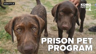 Prison Pet Partnership is first and oldest prison pet program in the world [upl. by Moncear484]