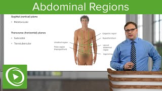 Abdominal Regions – Anatomy  Lecturio [upl. by Absa]