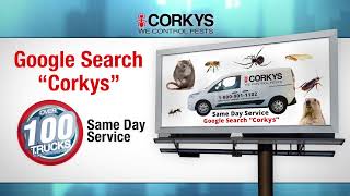 Google Search Corkys [upl. by Ayat569]