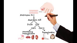 Pharmacology  NSAIDs amp PROSTAGLANDIN ANALOGS MADE EASY [upl. by Akirrehs551]