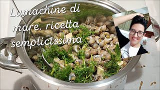 Lumachine di mare o quotlumachettequot con il finocchietto Ricetta semplicissima [upl. by Grinnell103]