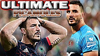 Ultimate PICAMOLES Tribute  GARGANTUAN ᴴᴰ [upl. by Curry]