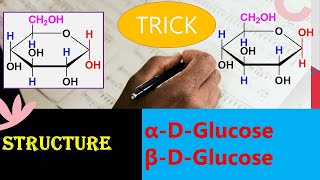 Haworth structure of Glucose  Trick  Dr Bharat Baria [upl. by Cesaria]