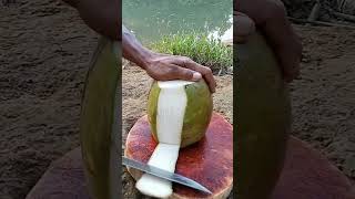 the art of peeling young coconuts using a knife amazing asmr fruit coconut cuttingskills [upl. by Eelimaj]