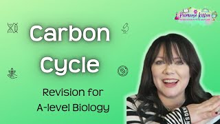 Carbon Cycle  Revision for Biology ALevel [upl. by Frame]