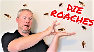 The ONLY Way to Get Rid of ROACHES  Tenant Left Cockroaches Landlords Dont Make These Mistakes [upl. by Eloc151]