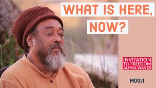 Mooji  What is here NOW  Invitation to freedom [upl. by Akerdna]