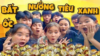 Anh Ba Phai  Bắt Ốc Nướng Muối Tiêu Xanh Ăn Tại Chỗ 🐚 [upl. by Lairbag]