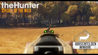 Cazando en Hirschfelden Corzo y Ciervo Comun  TheHunter Call of the Wild [upl. by Aron807]