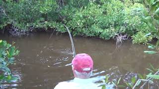 Fishing the Chartreuse Dahlberg Diver Fly [upl. by Ahasuerus216]