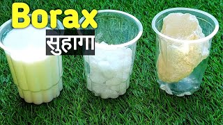 How to use Borax for plants and Benefits बोरेक्स  सुहागा को पौधो में कैसे उपयोग करे [upl. by Rednijar]