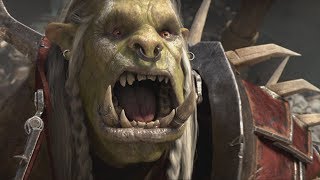 The Story of Varok Saurfang  Part 1 of 2 Lore [upl. by Enej]