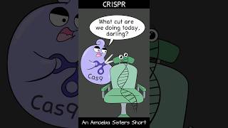 CRISPR  Amoeba Sisters Shorts biology biotechnology science [upl. by Bodnar]