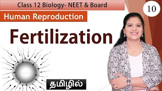 Fertilization  Human Reproduction Class 12 Biology [upl. by Weiser]