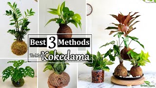 Best 3 Methods to Make Kokedama at Home  How to Make Moss Ball for Indoor PlantsGREEN PLANTS [upl. by Fabrice]