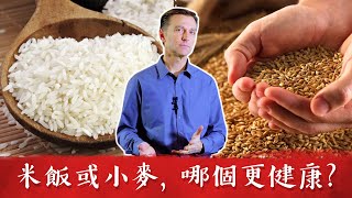 米飯小麥哪個更健康柏格醫生 Dr Berg [upl. by Myrt]