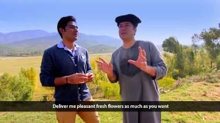 Pashto New HD Song Ka Lare Bajawar Ta 2015 By Bakhtiar Khattak [upl. by Bringhurst]