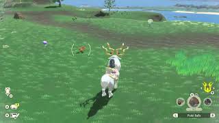 Where to catch Vulpix  Pokemon Legends Arceus PLA [upl. by Steep]