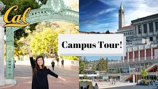 UC Berkeley Campus Tour  Showing YOU Around UC Berkeley [upl. by Carbone815]