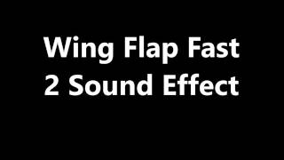 Wing Flap Fast 2 Sound Effect [upl. by Lanahtan211]