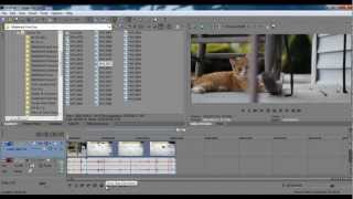 Sony Vegas 2351 Aspect Ratio Tutorial  No Black Bars [upl. by Alia326]