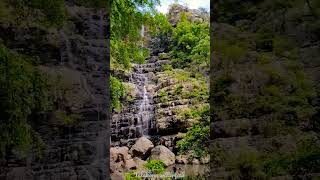 Talakona Waterfall Chittoor District Tirupathi Andhra Pradesh [upl. by Ahseka]