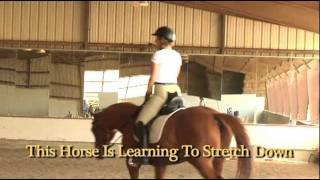 How To Engage Your Horses Back [upl. by Schaaff]