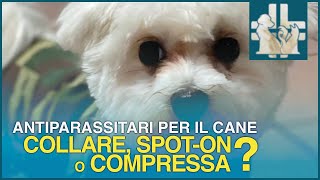 Antiparassitari per il cane  collare pipette spot on o compresse [upl. by Aicia]