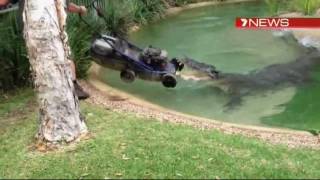 Crocodile battles lawn mower [upl. by Inge869]