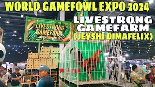 WORLD GAMEFOWL EXPO 2024  LIVESTRONG GAMEFARM  BALERIANS GAMEYARD [upl. by Yared754]