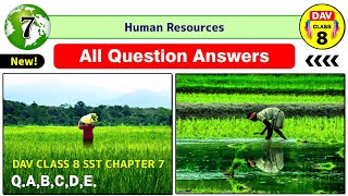 🌿Human Resources  Dav Class 8 Sst Chapter 7 Question Answer Geography Dav Public School QABCDE [upl. by Maupin]