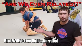 BJJ World Champion Critiques Younger Brothers Rolls  Wiltse Breakdown [upl. by Gabbey564]