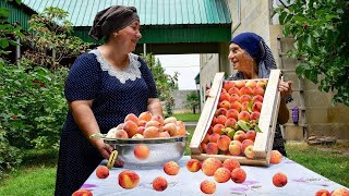 Making Delicious Peach Recipes  Calm Village Life [upl. by Narag]