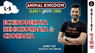 Echinodermata Hemichordata and Chordata  Animal Kingdom CBSE Class 11 Biology Chapter 4NEET 2020 [upl. by Allbee639]