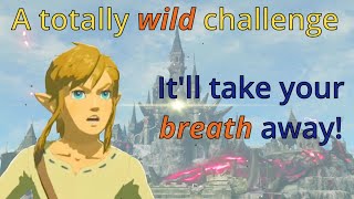 Straight to Ganon  A Classic Legend of Zelda Breath of the Wild Challenge [upl. by Ekusoyr]