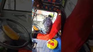 dkfholidays convinsingstar comedy automobile shrts bus travel kollam mevaram [upl. by Leasim]