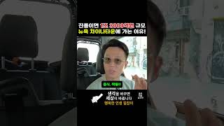 진품이면 1조 3000억 규모 뉴욕 차이나타운에 가는 2가지 이유 [upl. by Anaidiriv]