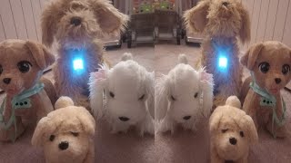 Grace Zulueta is LIVE MY NOISY PUPPYS [upl. by Karilla581]