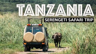 TANZANIA SAFARI  Exploring The Serengeti [upl. by Eiddam595]