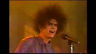 Caifanes  La negra tomasa  En vivo 1988 HQ [upl. by Andy417]