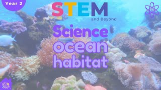 Ocean Habitats  Science For Kids Year 2  STEM Home Learning [upl. by Nnayram12]