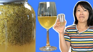 How to Make Dandelion Wine  FERMENTED [upl. by Buerger624]