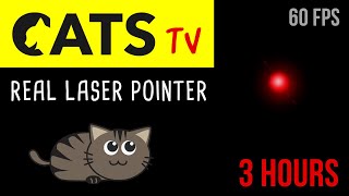 CATS TV  Real Laser Chaser 60FPS 🔴  3 HOURS Video Game for Cats Only [upl. by Noell83]