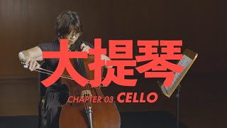 大提琴介紹 Cello [upl. by Assille]