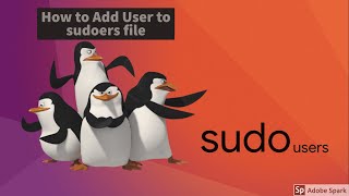 how to add user to sudoers file in linux centos 6 [upl. by Nirrok]