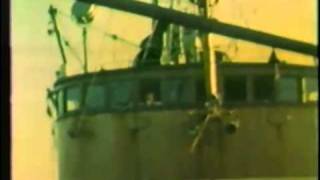 Hull Fishing Trawler on a fishing expedition off the coast of Norway [upl. by Marcelia384]