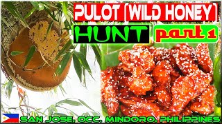 EP89Part1  Pulot Pukyutan Wild honey Hunt n Cook  Buffalo Wings  Occ Mindoro [upl. by Anirbas391]