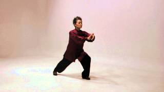 Simplified 24 Tai Chi routine [upl. by Ahsirek474]