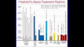 New Pathways and Therapies for Friedreichs Ataxia 2 of 13 [upl. by Myke]