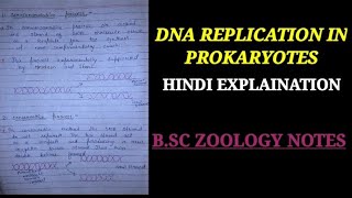 DNA REPLICATION IN PROKARYOTES IN HINDI ZOOLOGY NOTES [upl. by Barraza131]